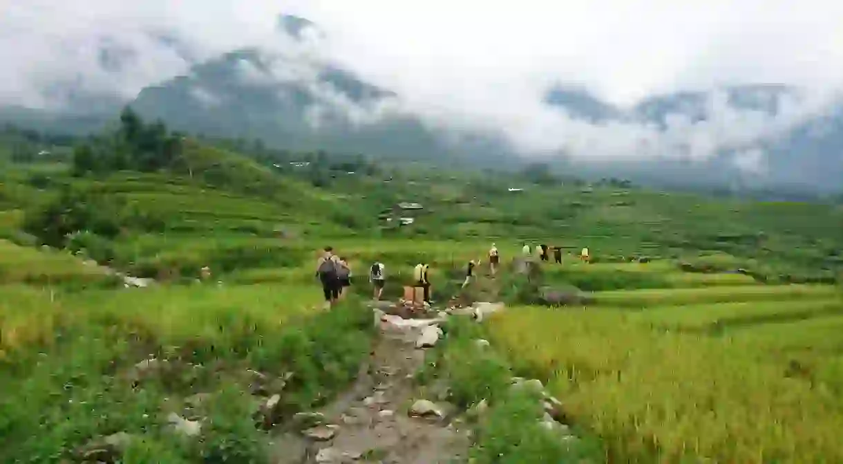 Sapa trekking