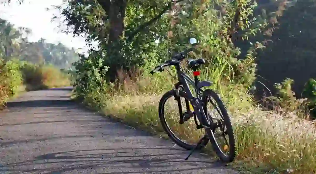 Bicycle parked on a winter morning while riding along a tranquil countryside road in Kerala, India