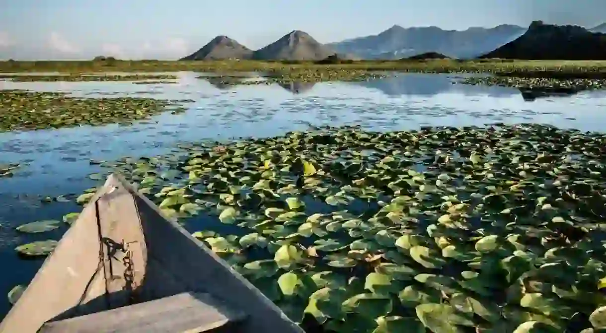 Wooden boat in the water lilies on Skadar lake