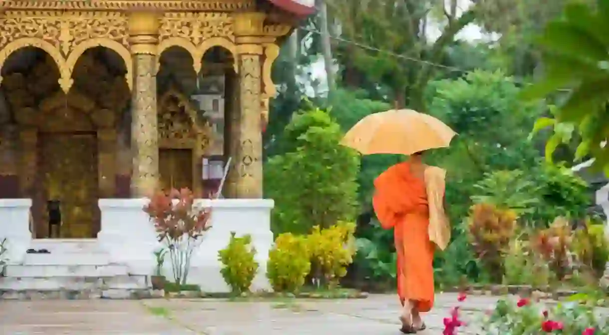 Monk, Luang Prabang