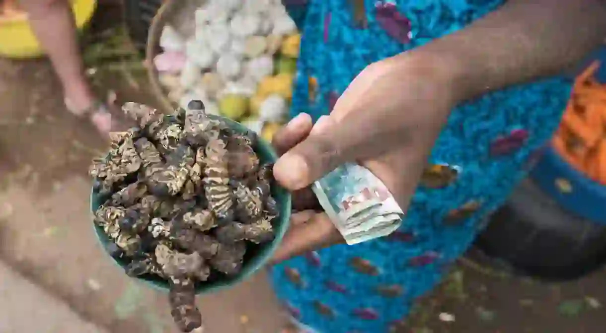 Caterpillars are a popular delicacy in Zambia