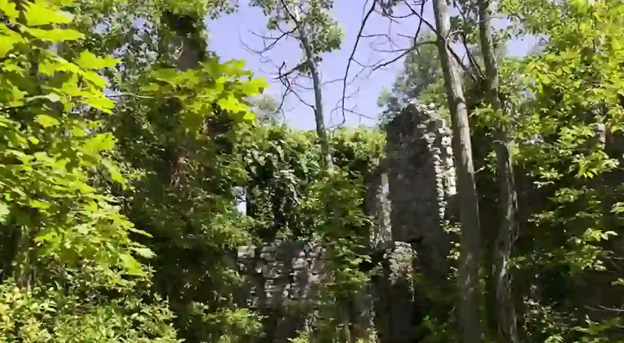 The ruins of the castle