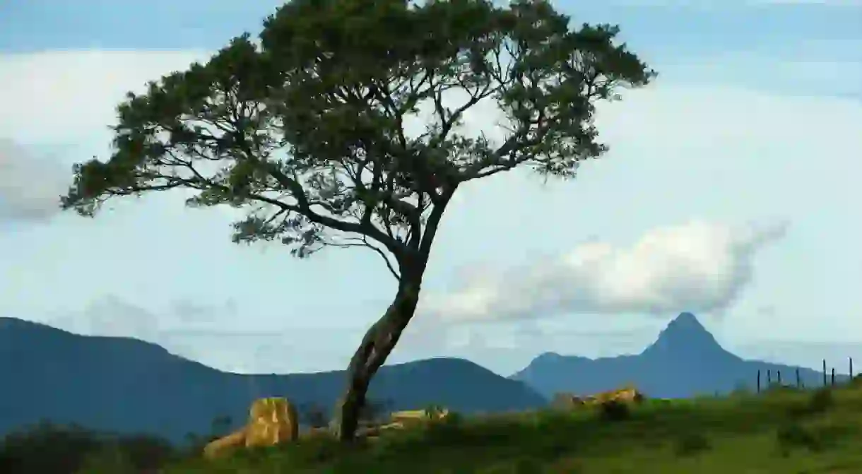 The mountains of Sri Lanka