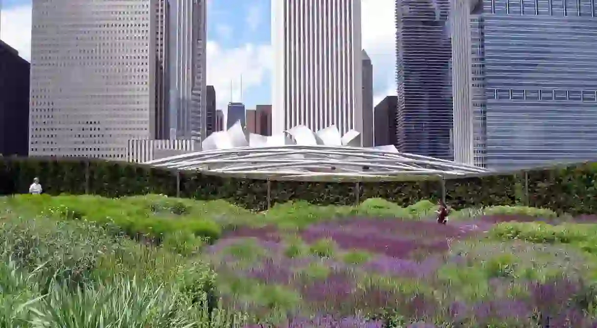 The Chicago skyline overlooking Millennium Parks Lurie Garden