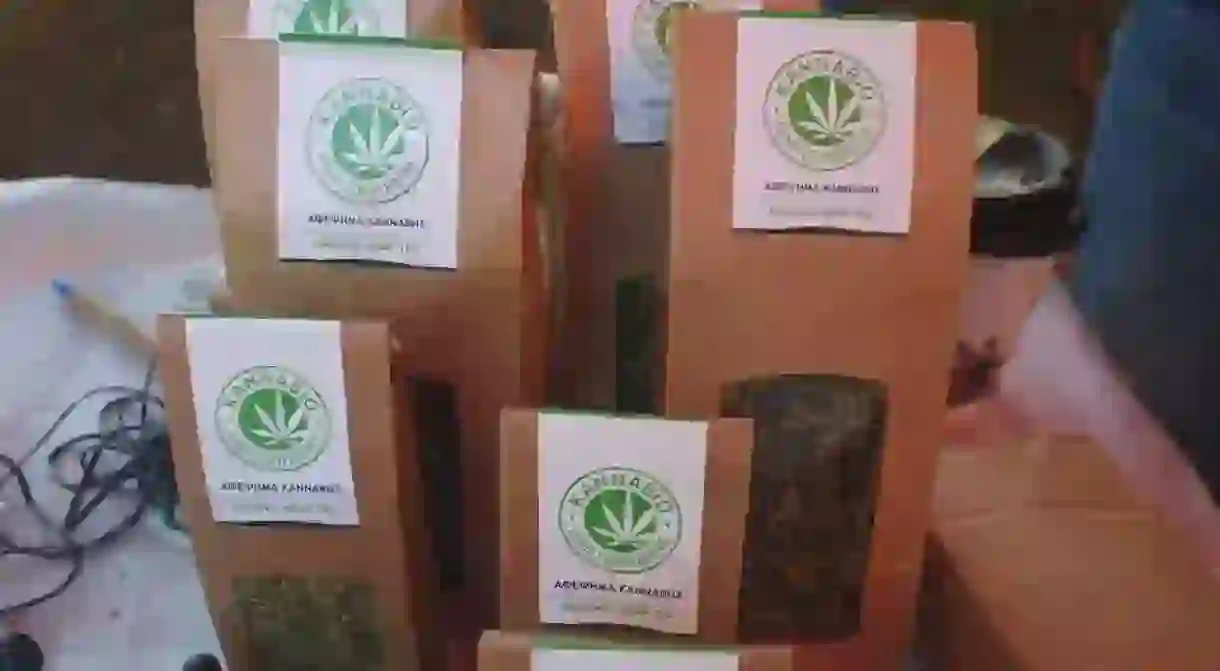 Hemp tea from KannaBio Hemp Cooperative