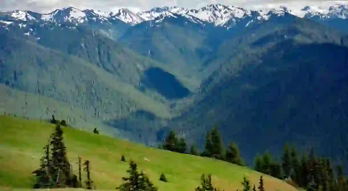 Hurrican Ridge, Olympic National Park, WA