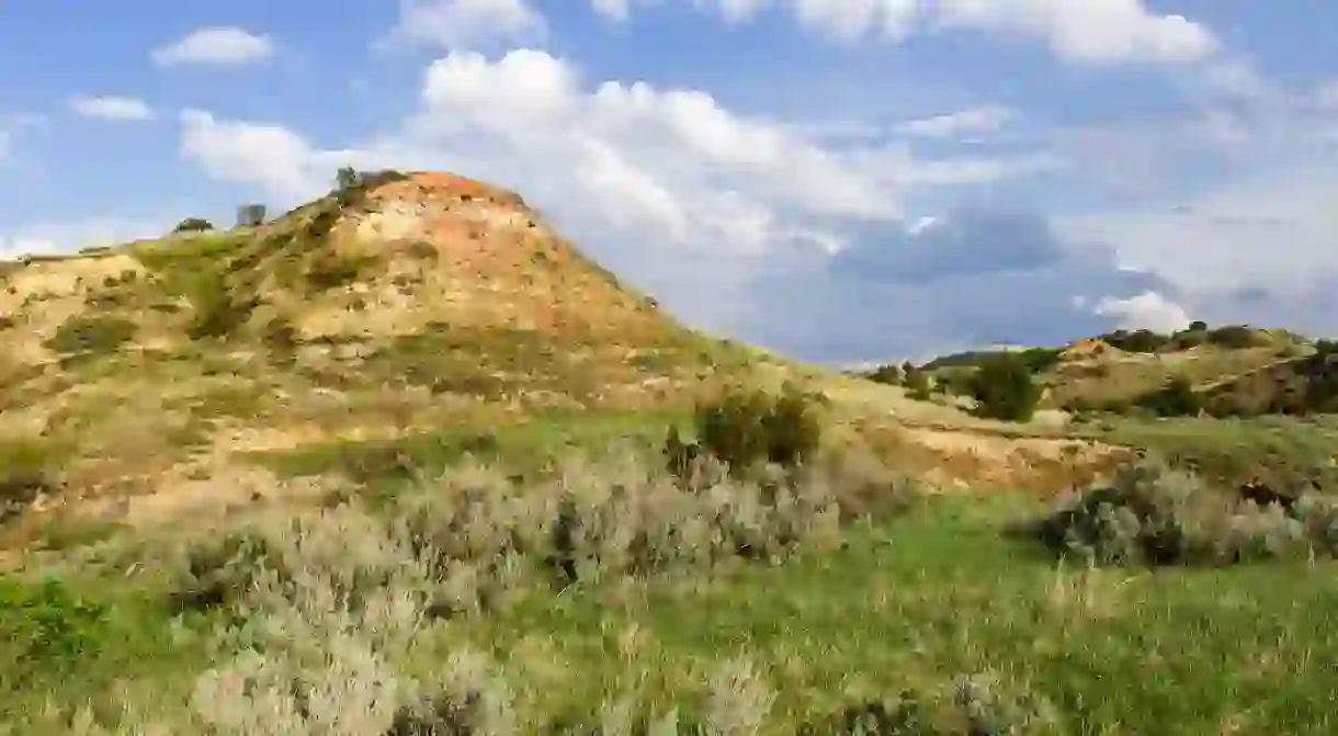 Theodore Roosevelt National Park