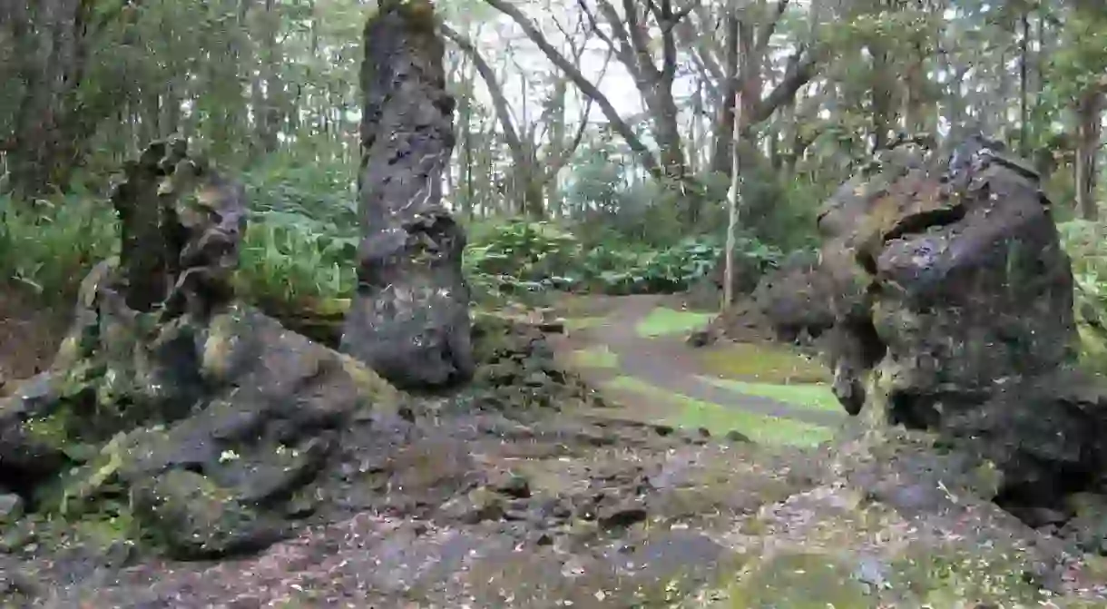 Hawaii Lava Tree State Park