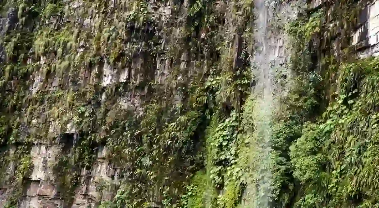 Waterfall on the Death Road