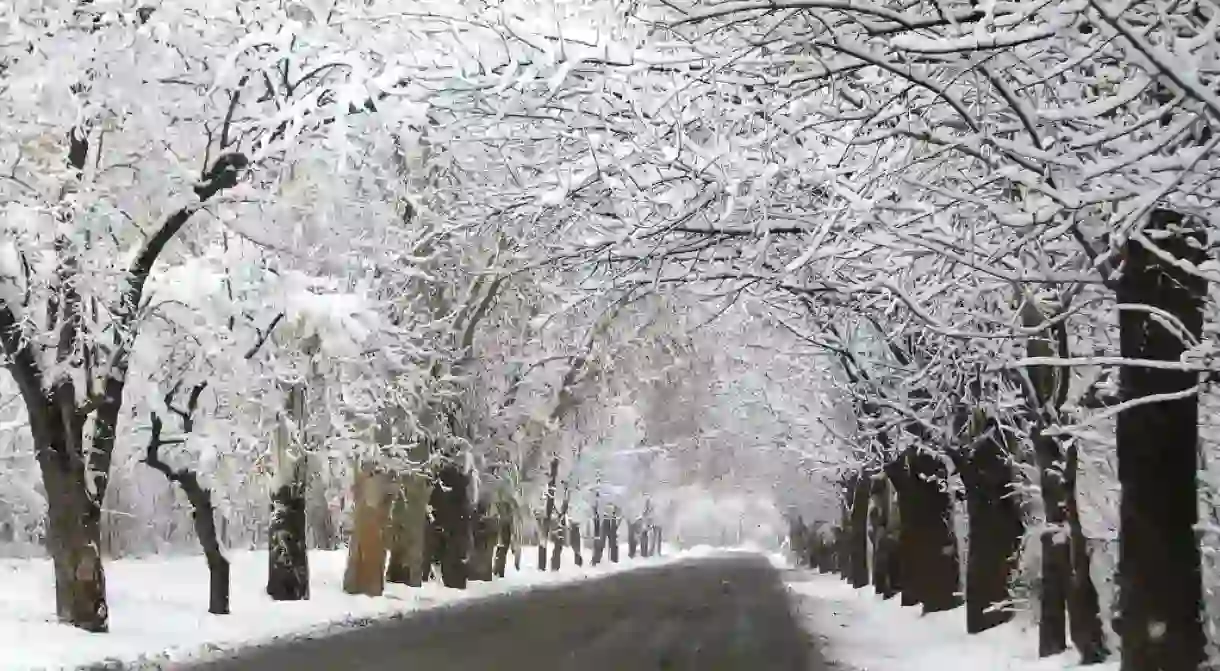 A snowy Chacras de Coria, Mendoza