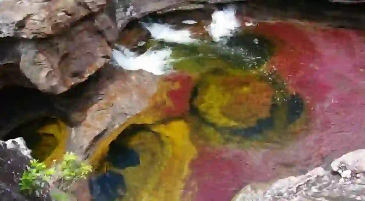 Cano Cristales in Colombia