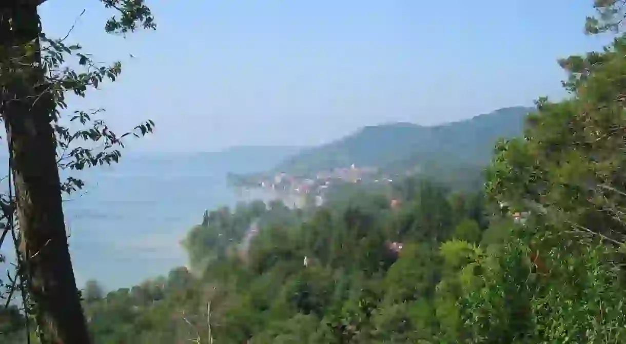 The view of Lake Constance in the summer from a hiking trail