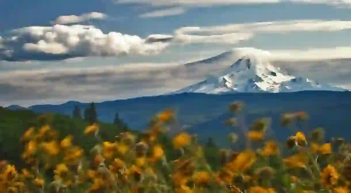 Mount Hood towering into the sky