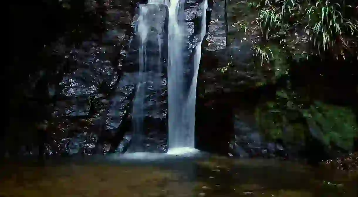 The Cachoeira do Horto waterfall in Rio de Janeiro