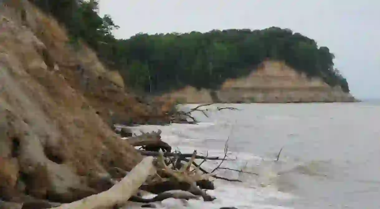 Calvert Cliffs State Park, Maryland