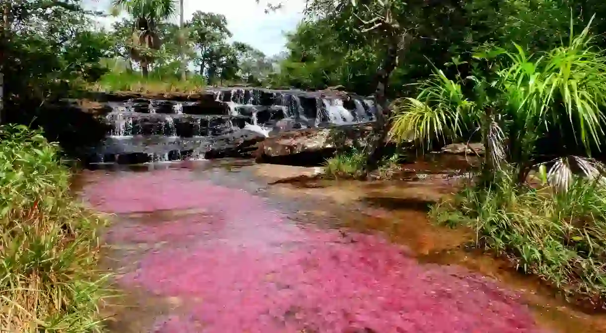 The unique beauty of Colombia