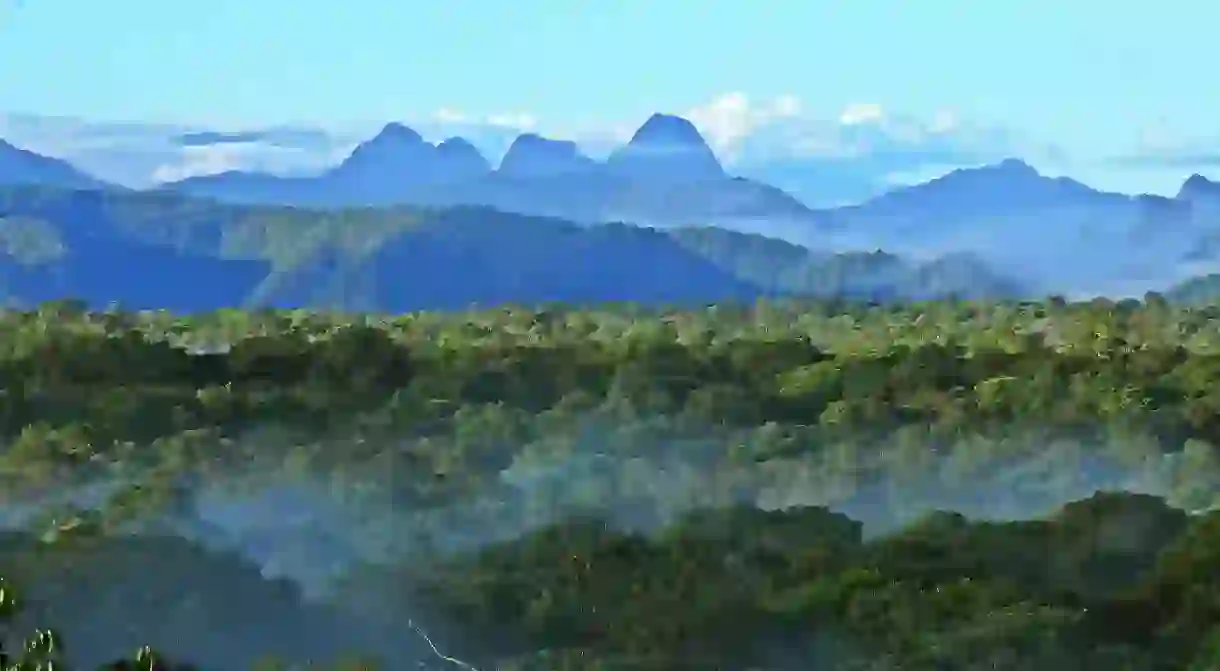 La Planada Natural Reserve, Colombia