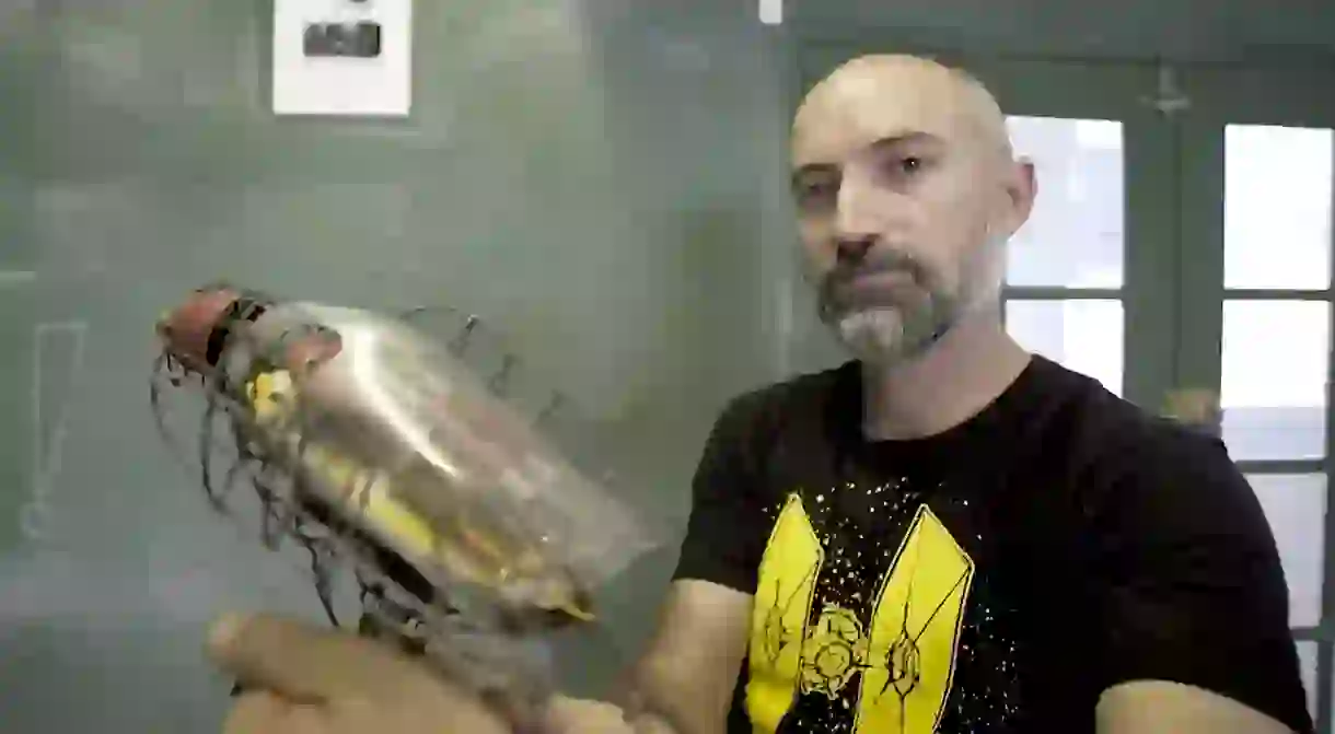 Ralph Borland shows us one of his African Robots.