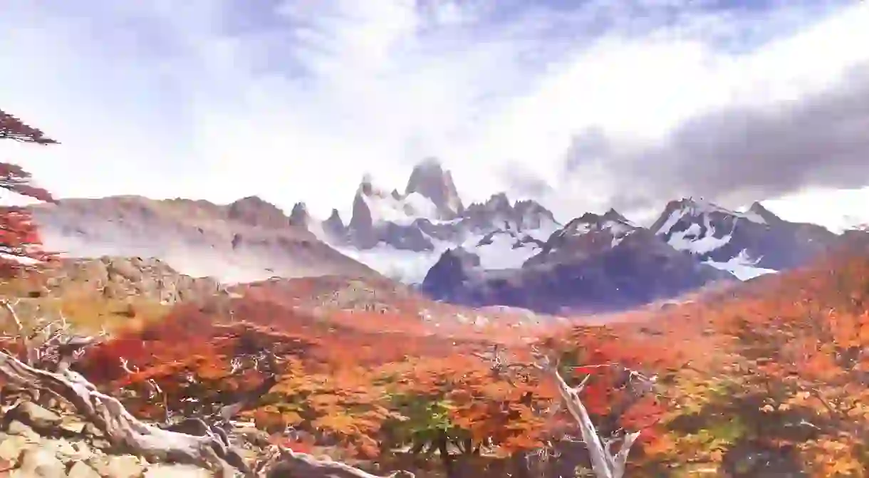 The beautiful autumnal colours of Patagonia, Argentina