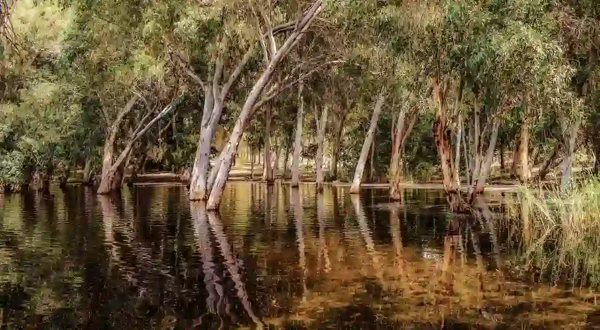 Enjoy fresh air and nature in Nicosia