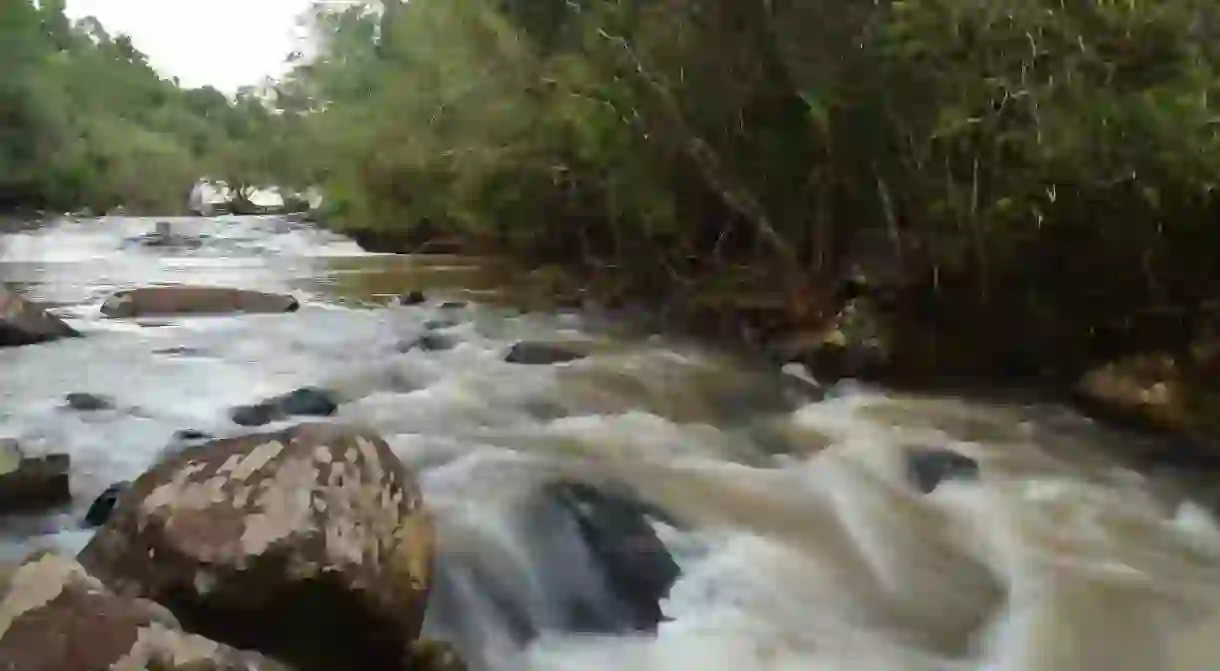 A river in Misiones, Argentina