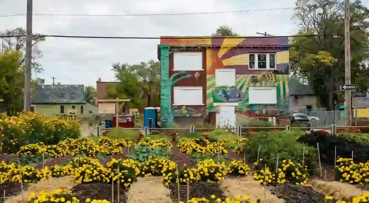 The Michigan Urban Farming Initiative