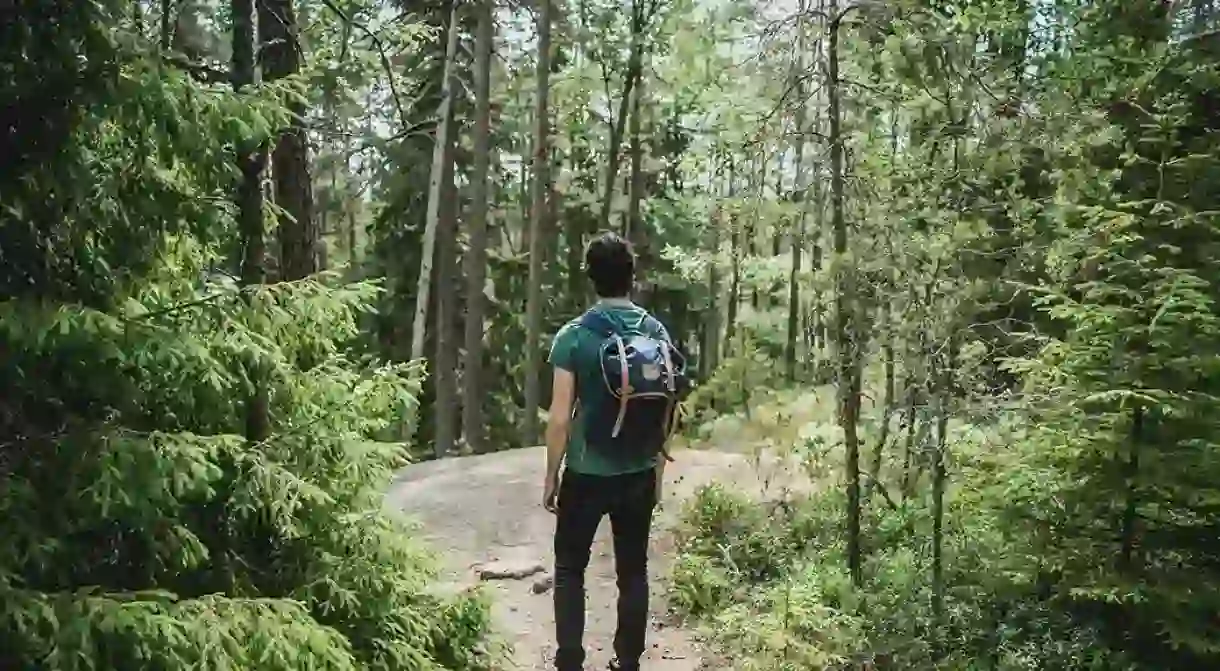 A solo hiker explores the woods