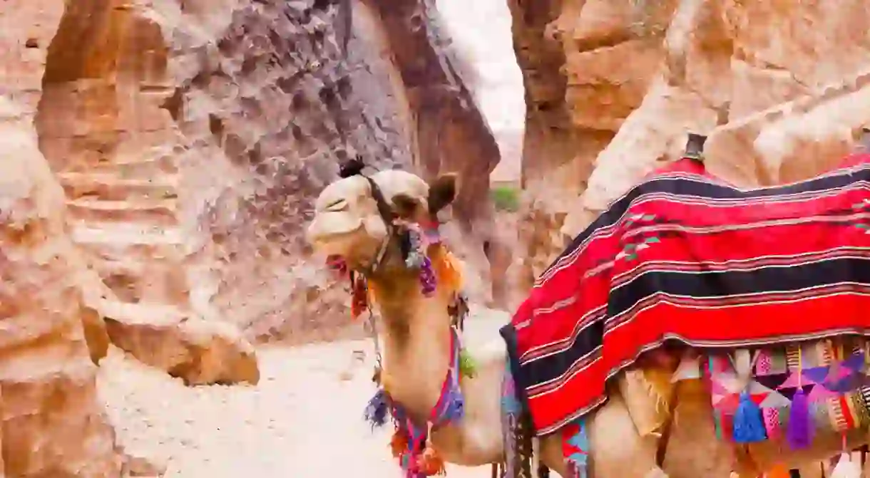 Experience the charms of Petra on a trip to Jordan