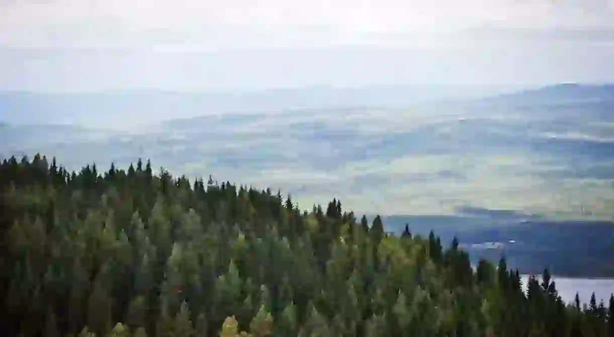 Värmlands forests stretch on forever