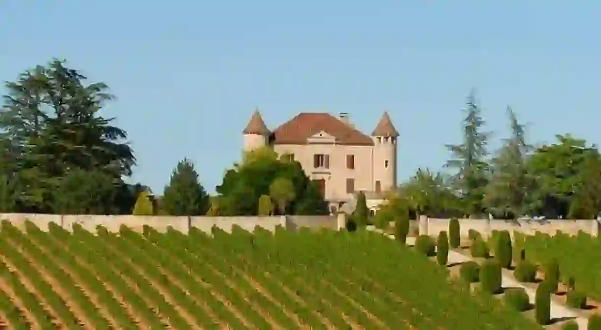 Grape harvesting in France