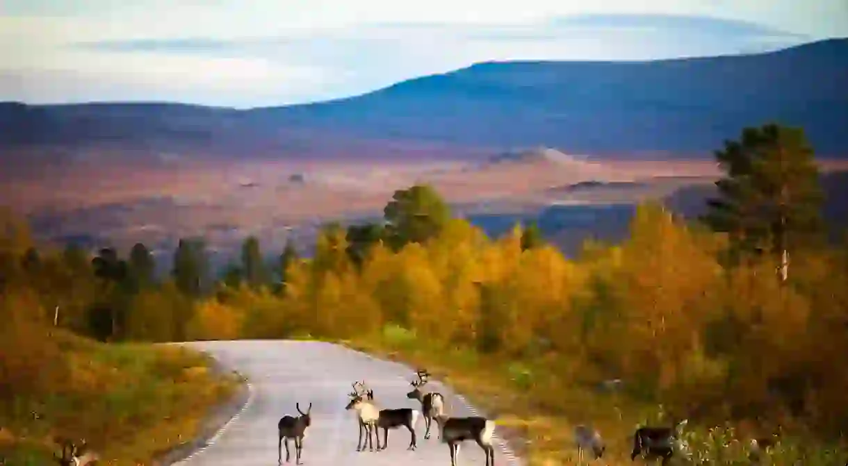 Best road trips in Finland: Lapland