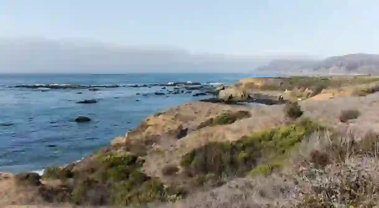 Estero Bluffs State Park, San Luis Obispo County