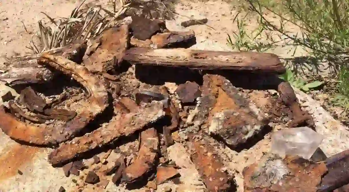 Horseshoes and other rusted tools in Old Bluffton