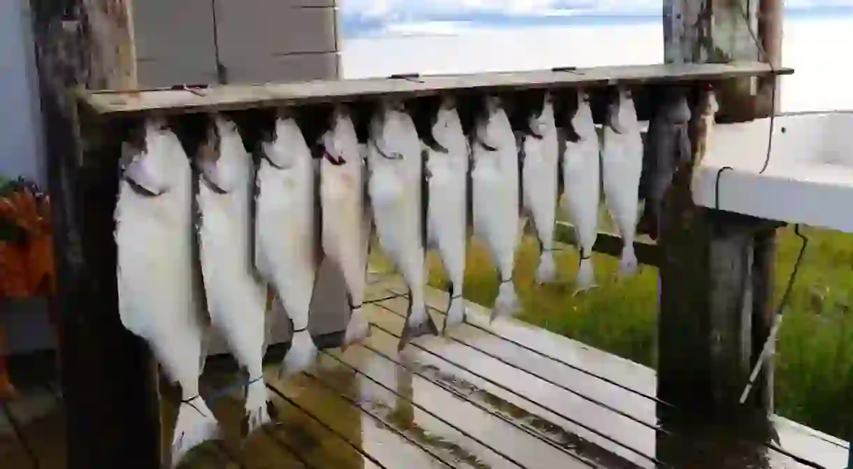 Halibut fishing in Homer, Alaska