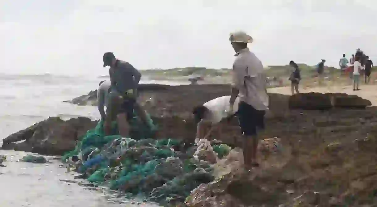 Kahuku beach cleanup