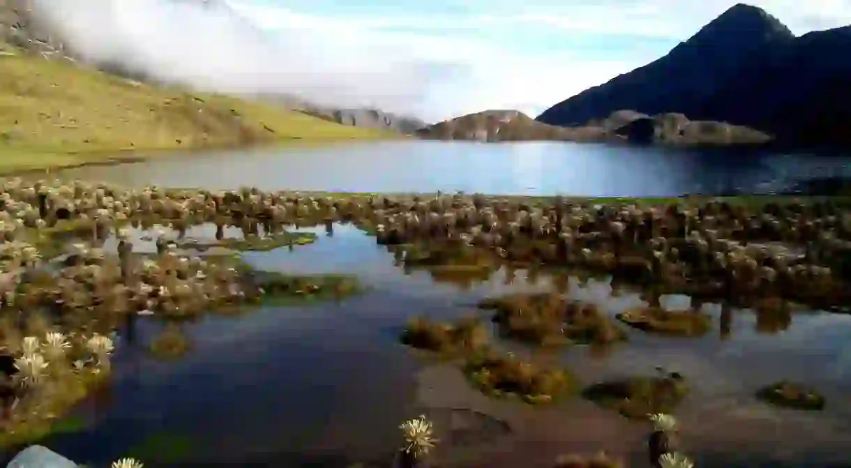 El Cocuy National Park, Colombia