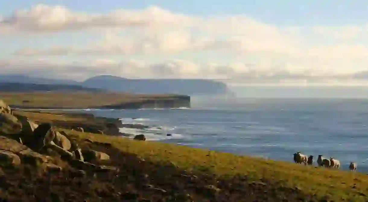 West Coast Of Orkney