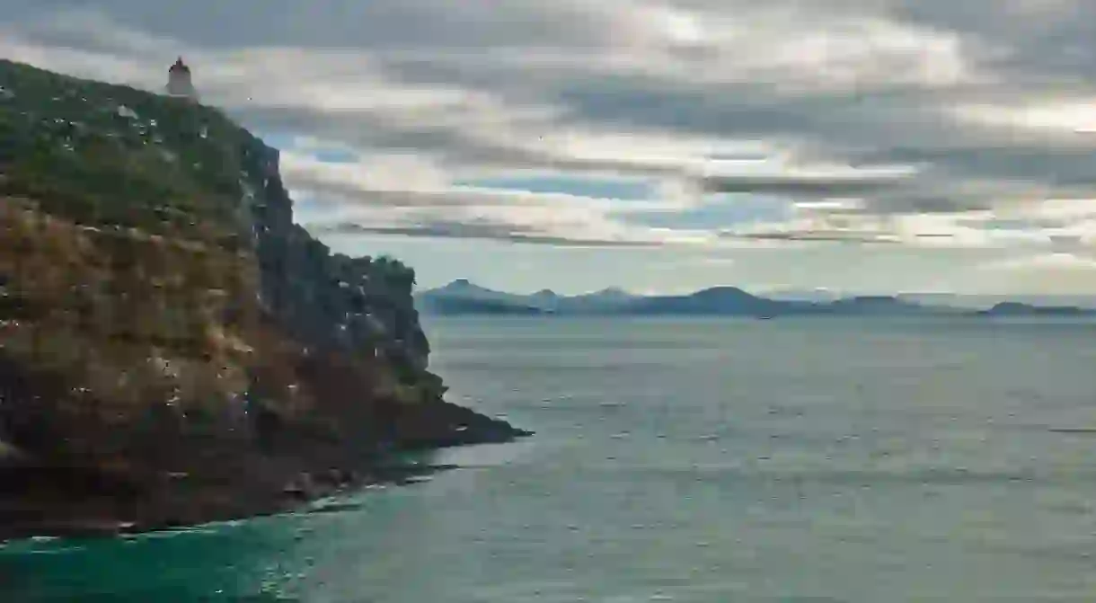 Taiaroa Head, Otago, New Zealand