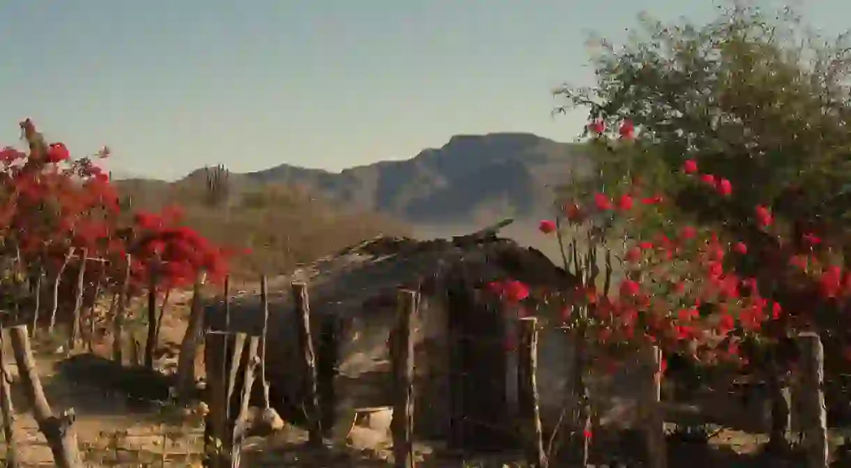 The striking landscape of Álamos, Sonora