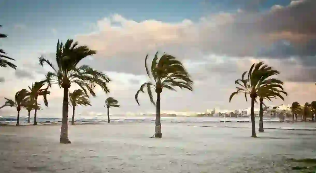 Some beaches in Spain have been closed this week