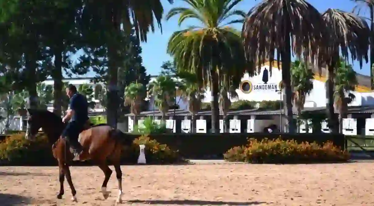 A rider training in front of a sherry bodega in Jerez de la Frontera