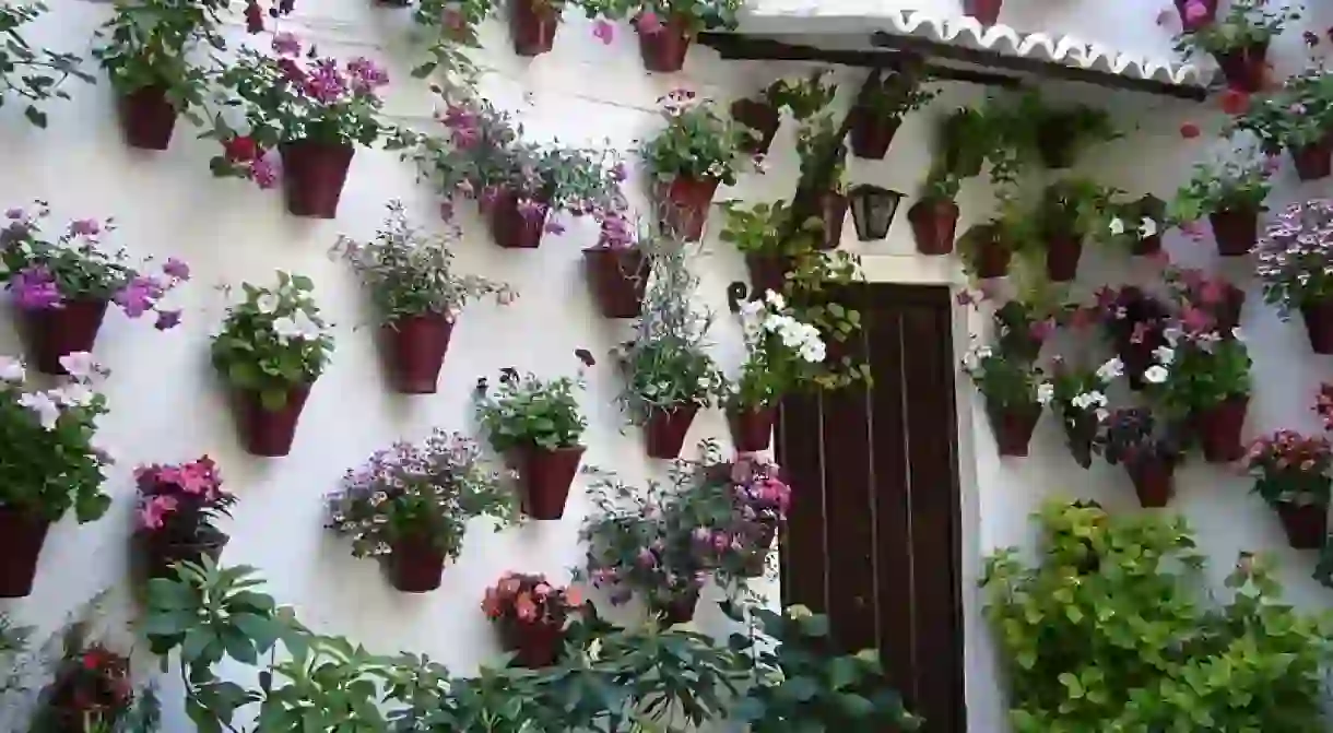 A house in Córdoba during the citys Feria de los Patios