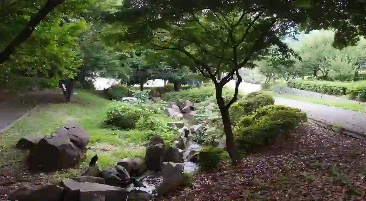 Eerie and peaceful Toyama Park