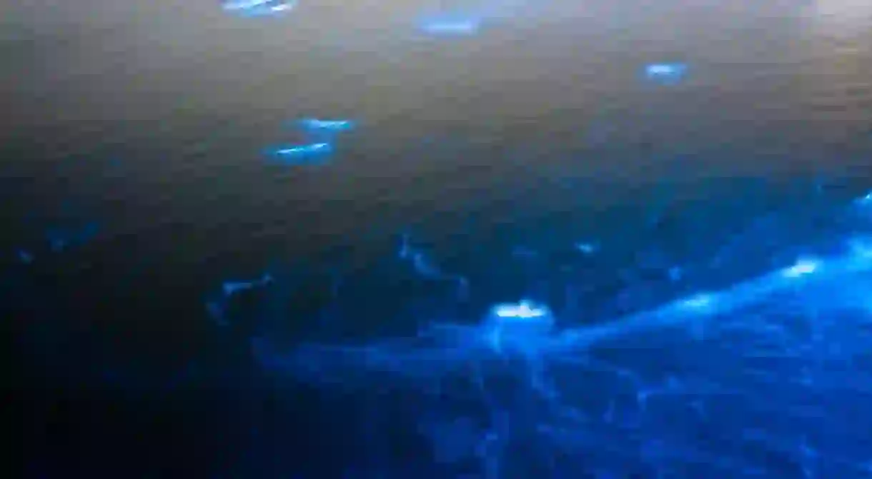 San Diegos waters glowing blue in October 2011, the citys last major bioluminescent occurrence