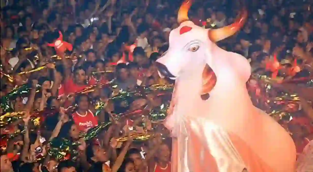 The Festival do Bumba Boi is based on the story of a resurrected ox