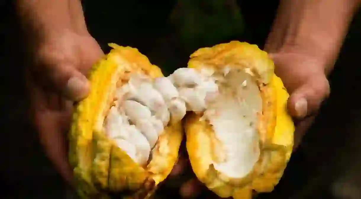 Fresh Cacao │