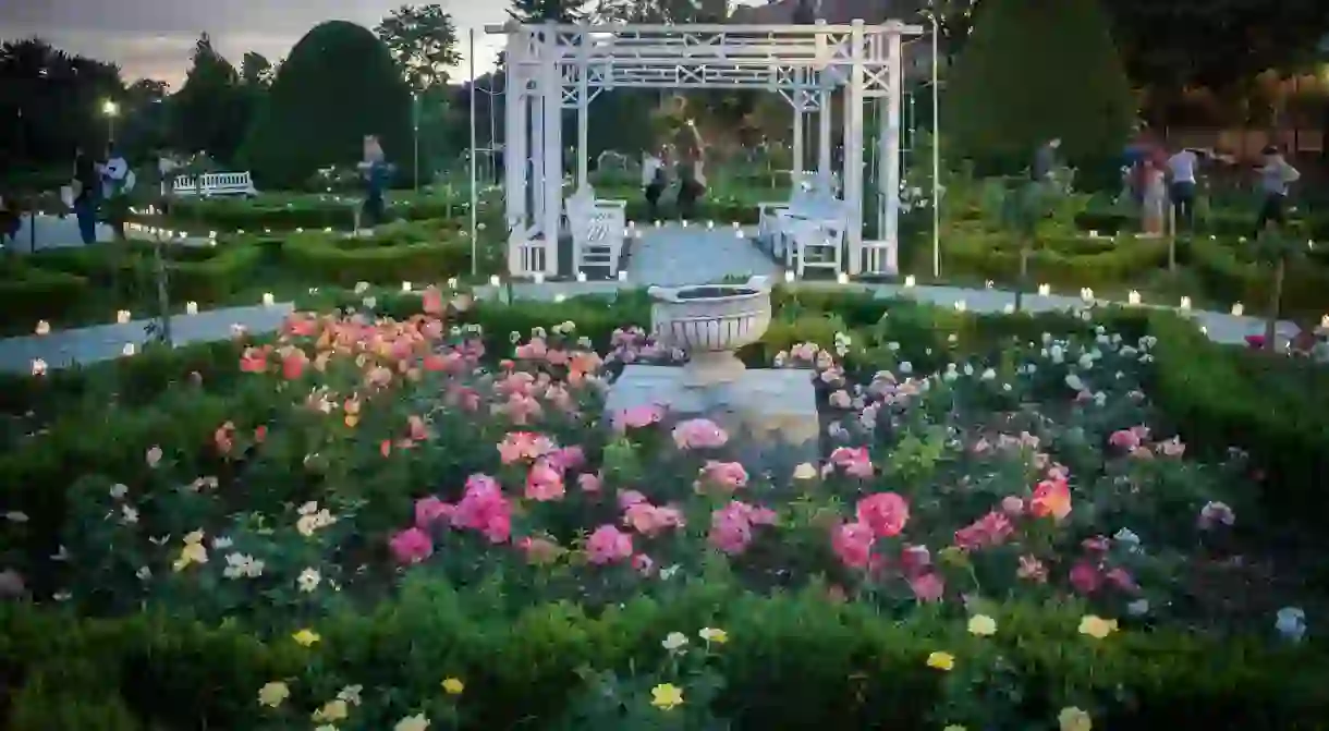 The Roses Park in Timișoara, Romania