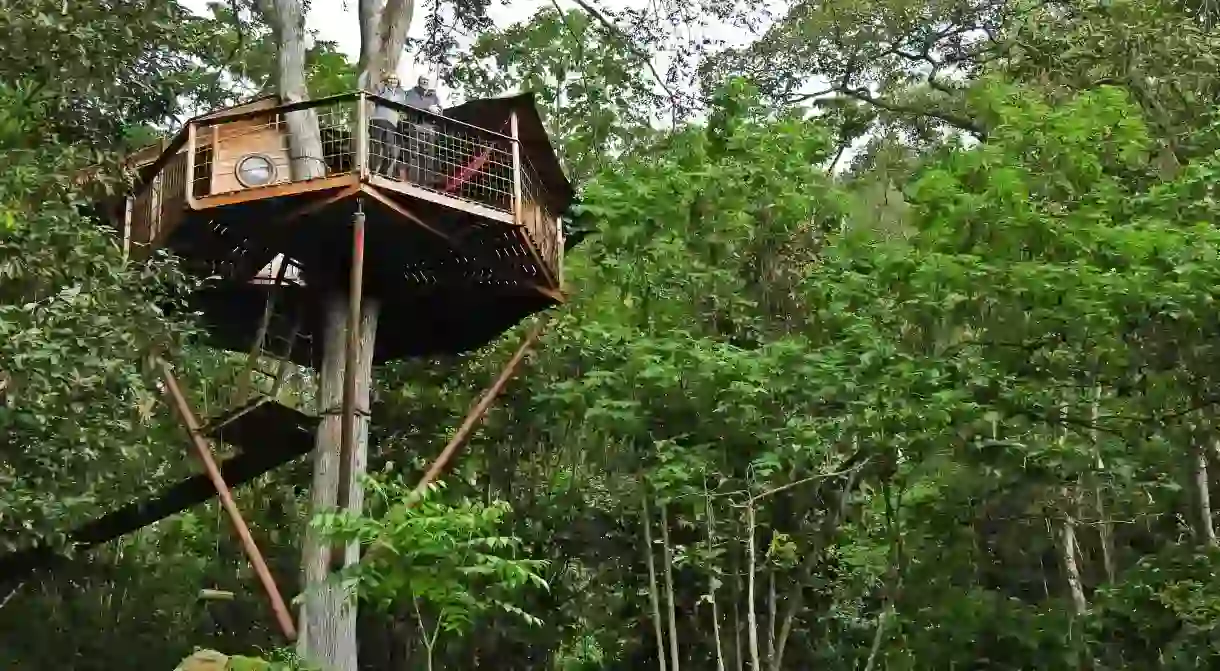 Colombian treehouse living: truly uplifting