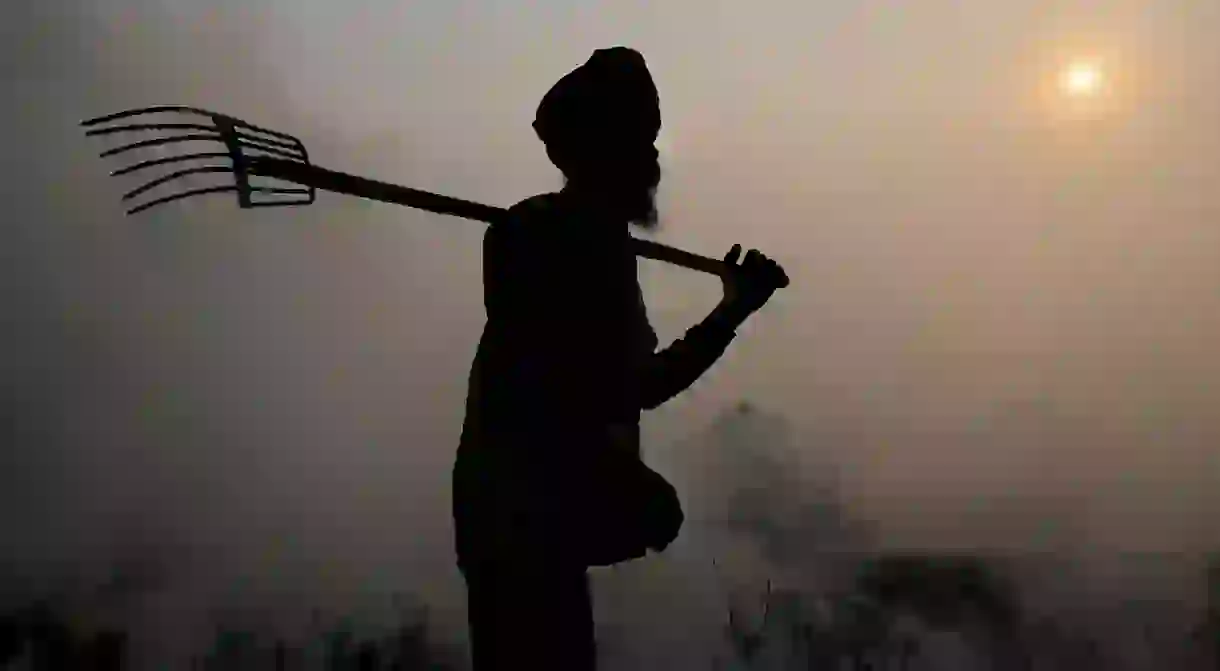 Burning of rice residues after harvest, in Punjab, India