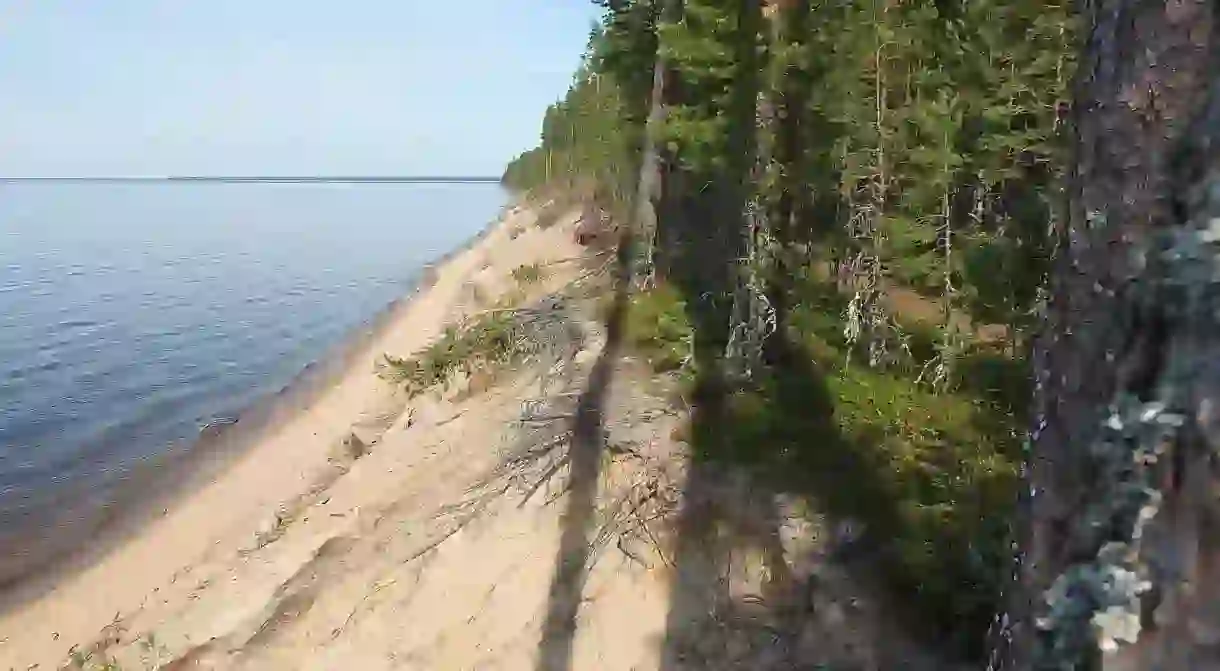 Shore of Manamansalo in Rokua, Finland.